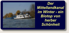Der Mittellandkanal im Winter - ein Biotop von herber Schönheit