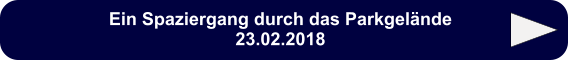 Ein Spaziergang durch das Parkgelände 23.02.2018
