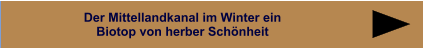 Der Mittellandkanal im Winter ein Biotop von herber Schönheit  Der Mittellandkanal im Winter ein Biotop von herber Schönheit